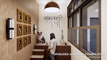 Brand New Pet Spa Coming Soon!